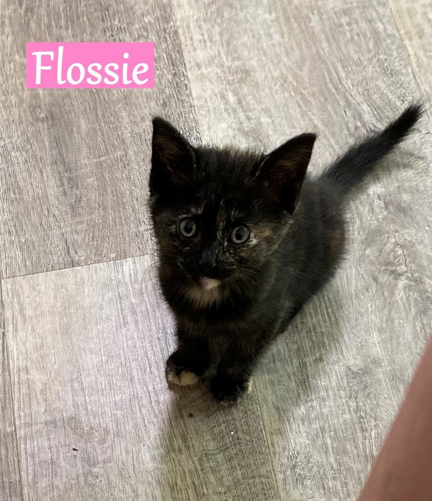 Flossie