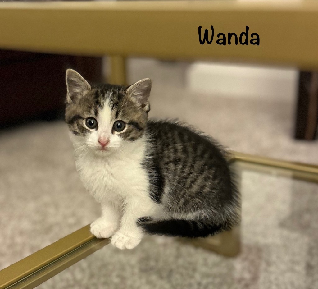 Wanda