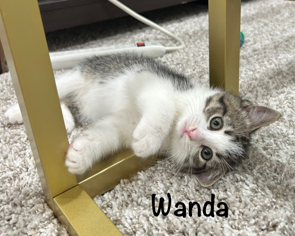 Wanda