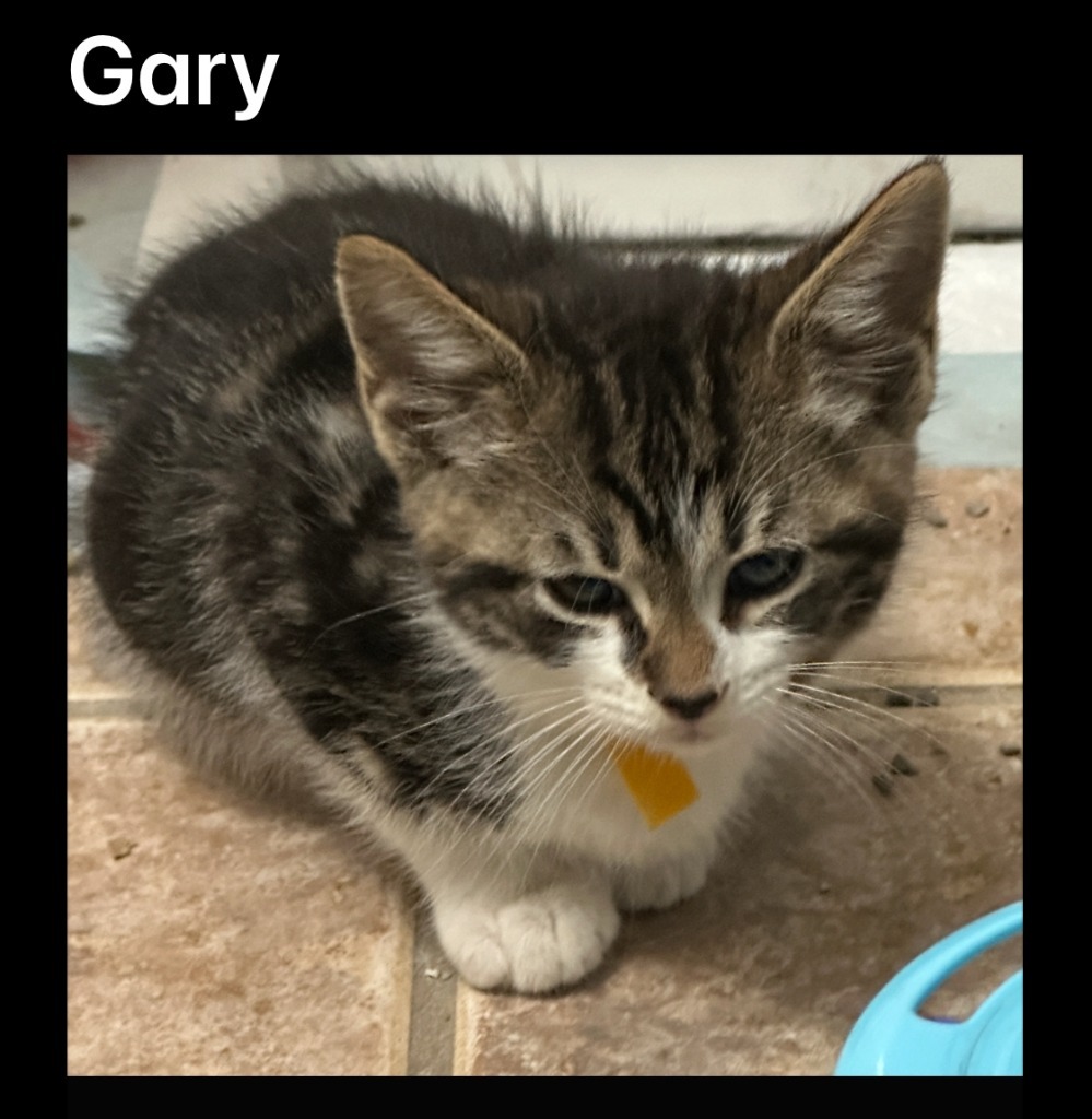 Gary