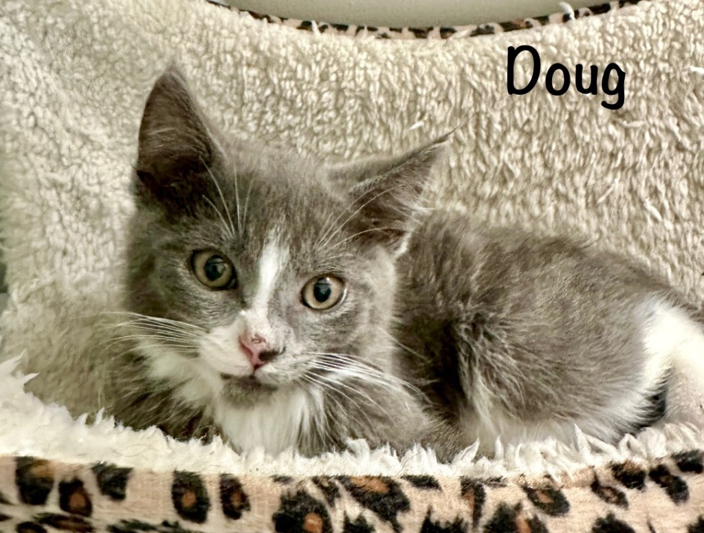 Doug