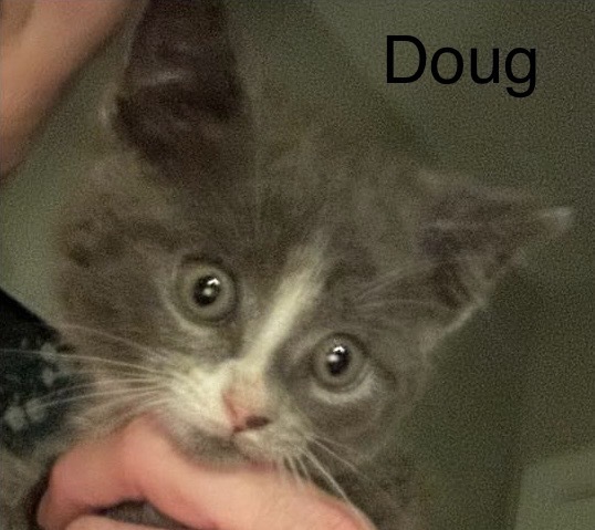 Doug