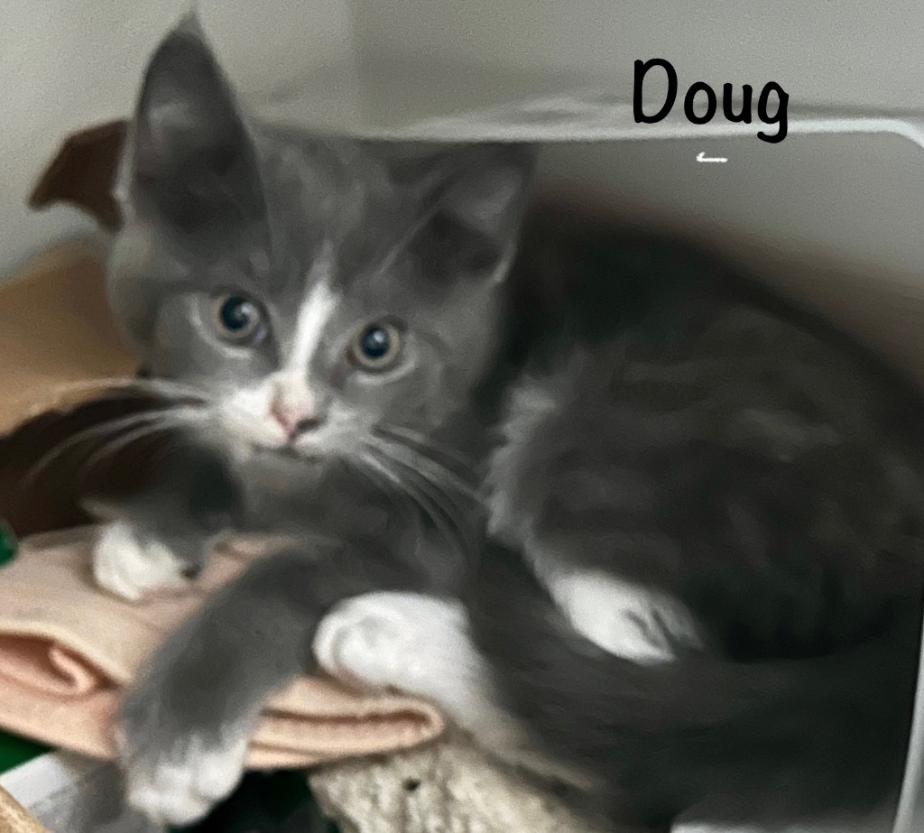 Doug