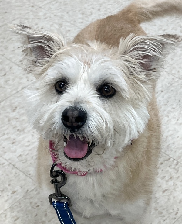 Bonnie