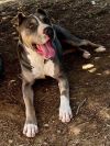 Gretchen photo 2