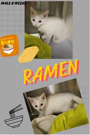 Ramen