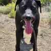 Jasper photo 3