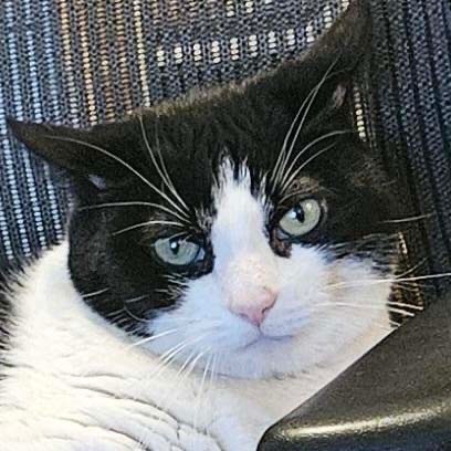 Puddy