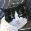 Puddy photo 1