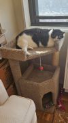 Puddy photo 4