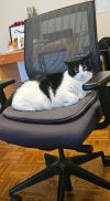 Puddy photo 6