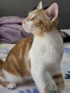 Teddy photo 2