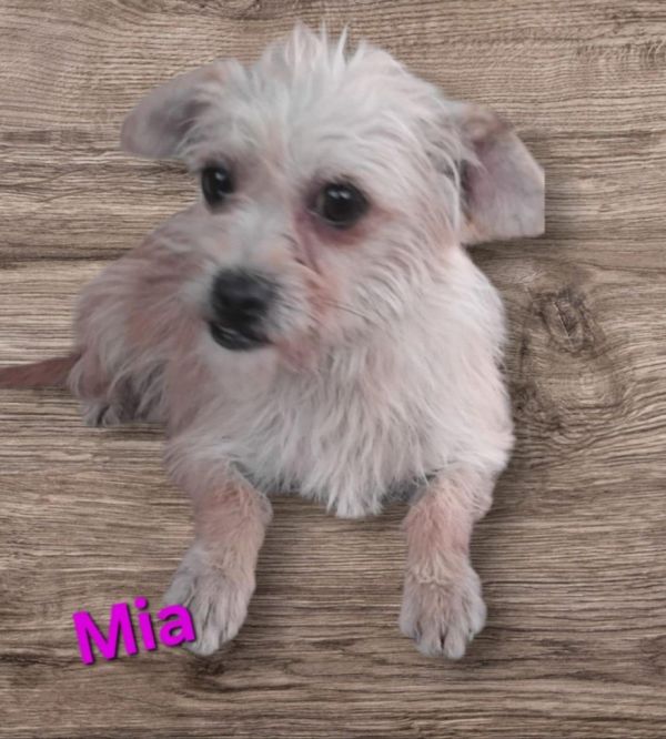 Mia photo 1