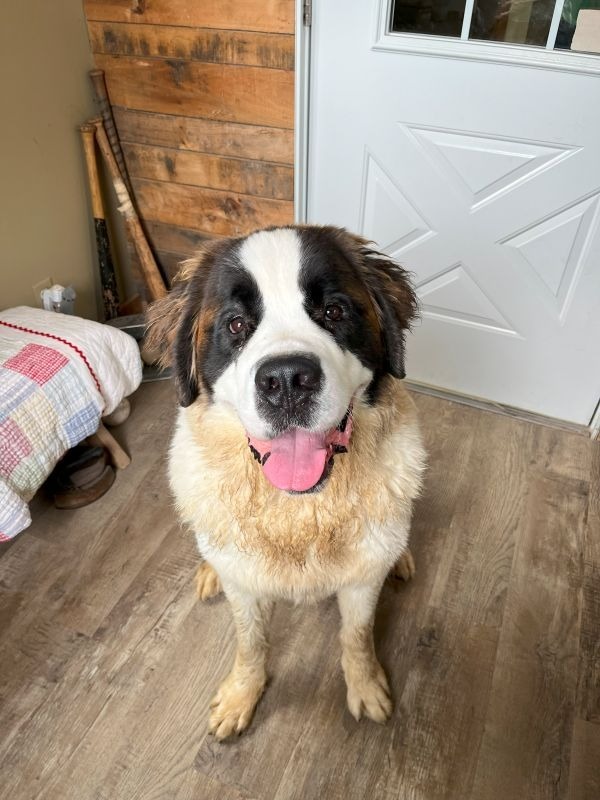 Cooper-
