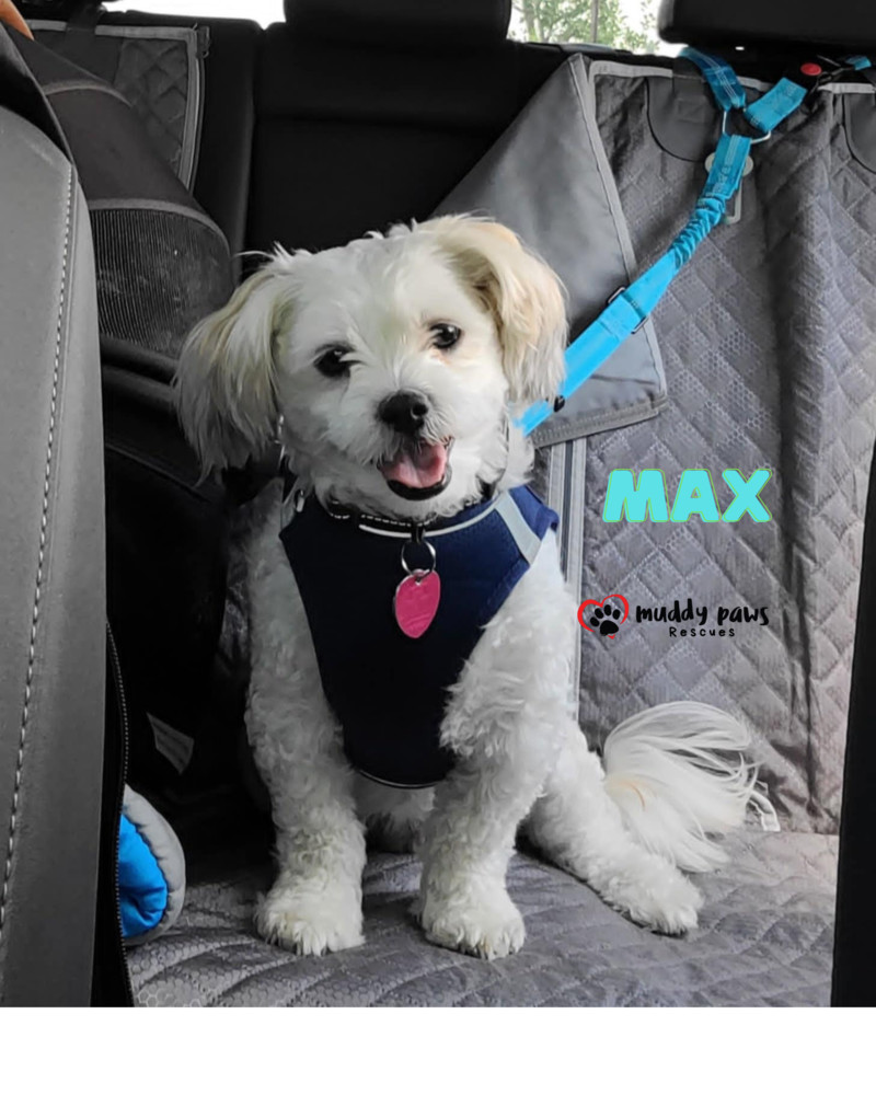 Max