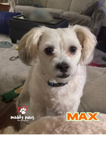 Max