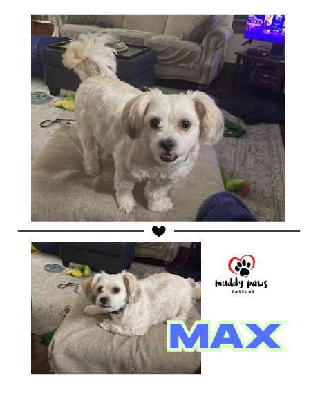 Max