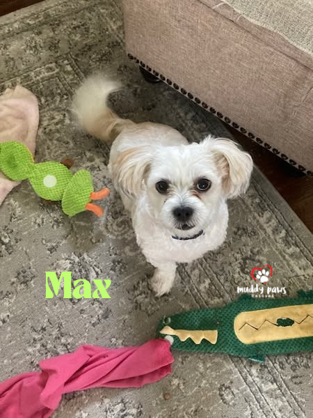 Max