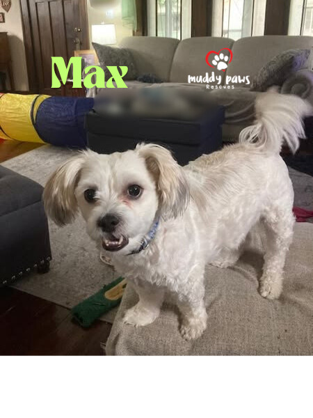 Max