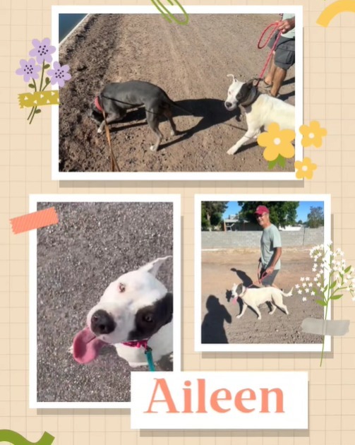 Aileen