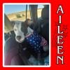 Aileen photo 3