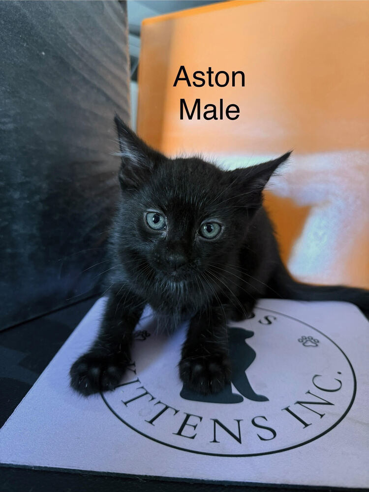 Aston