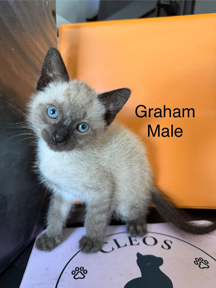 Graham