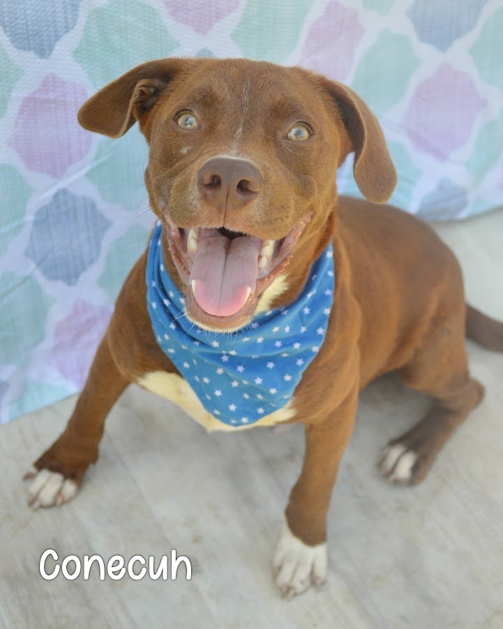 Conecuh