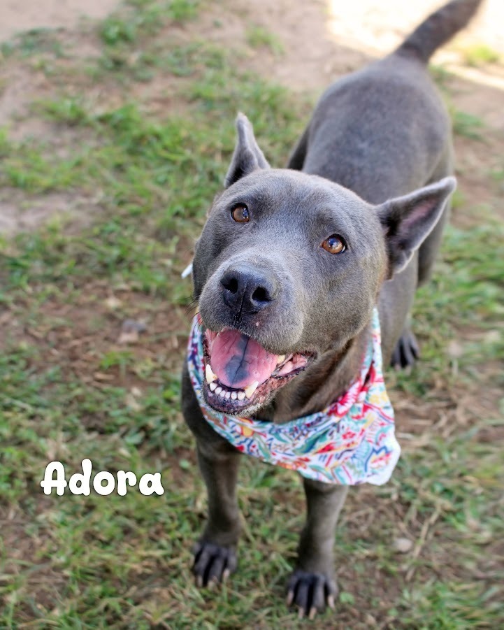 Adora