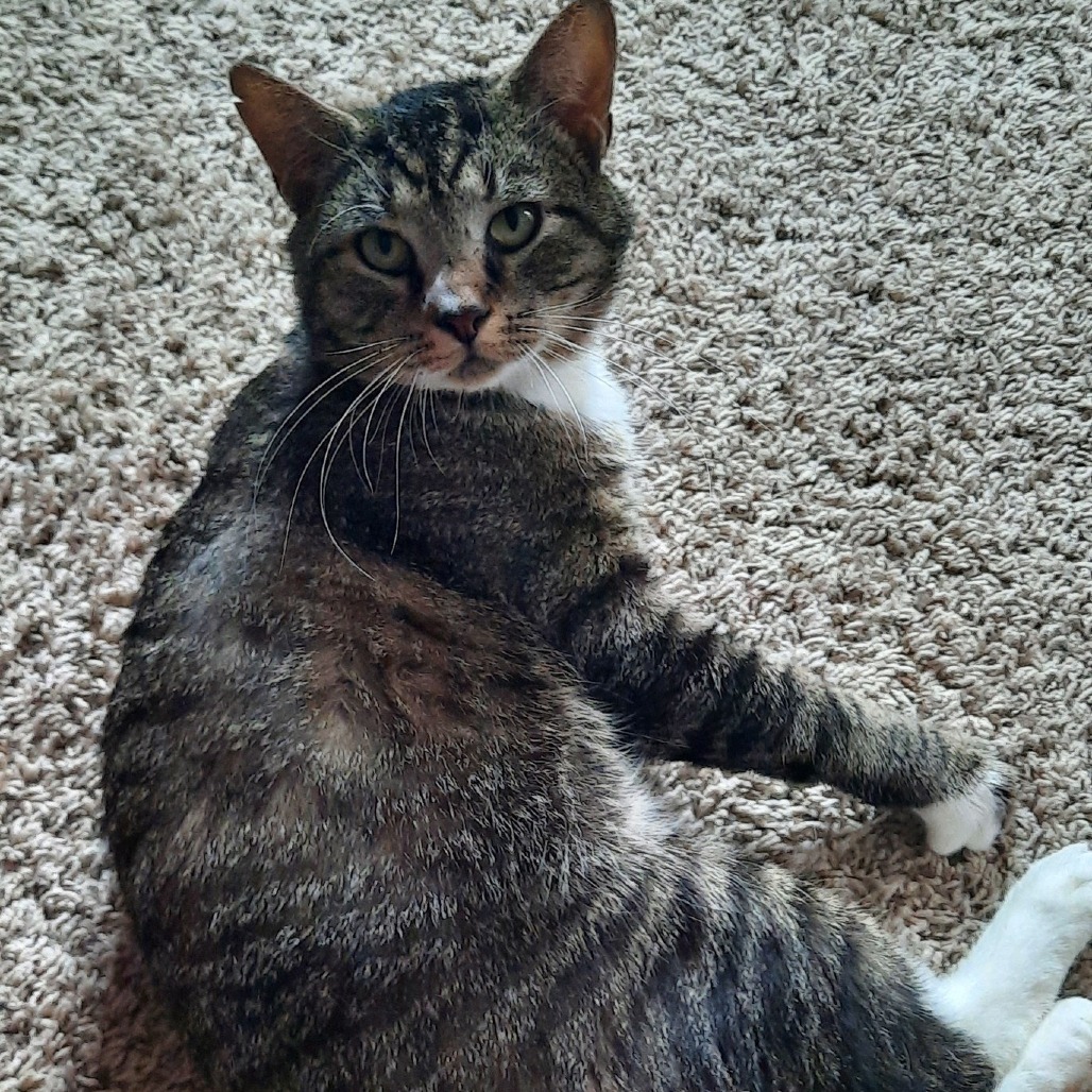 Smudge