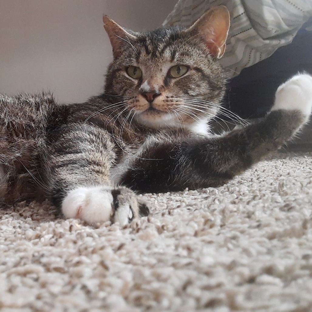 Smudge