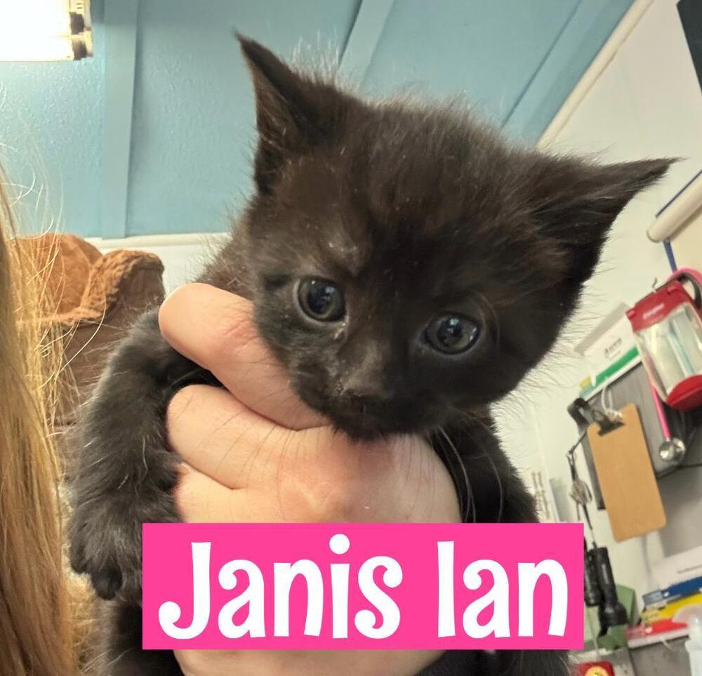 Janis Ian