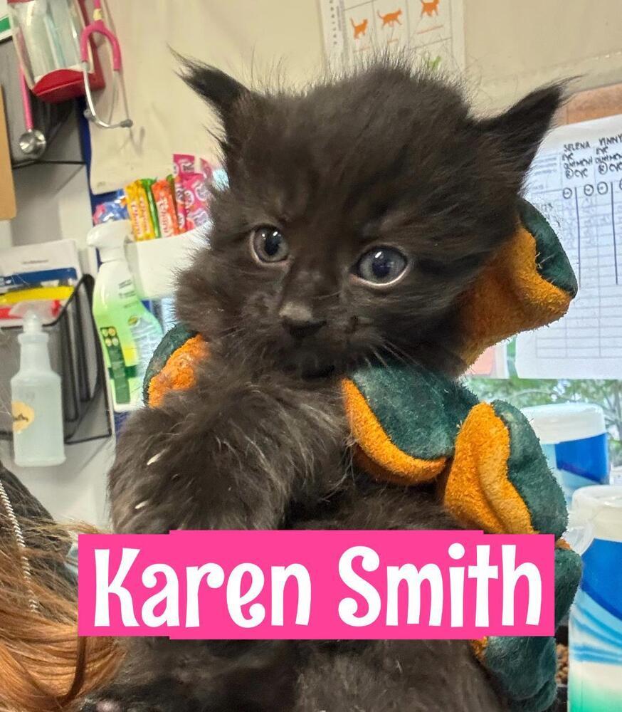 Karen Smith