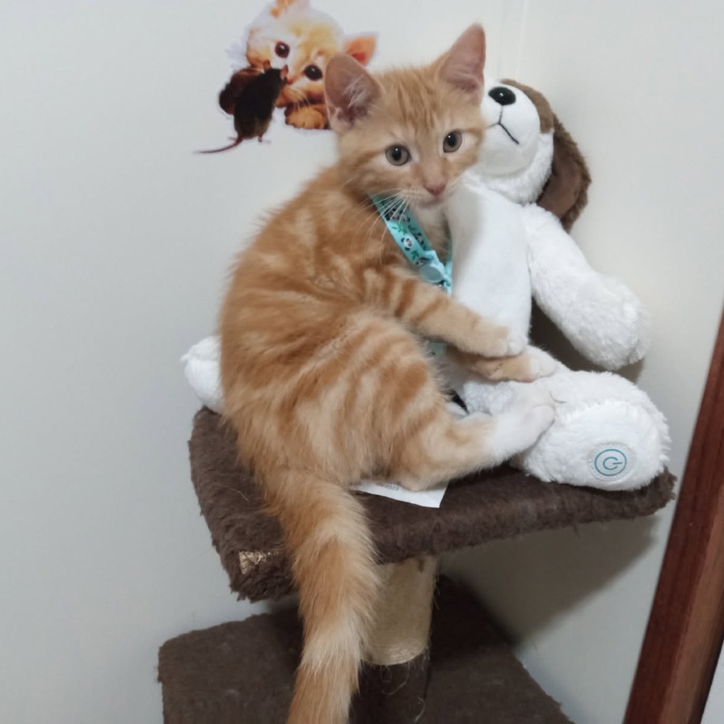 Hubert