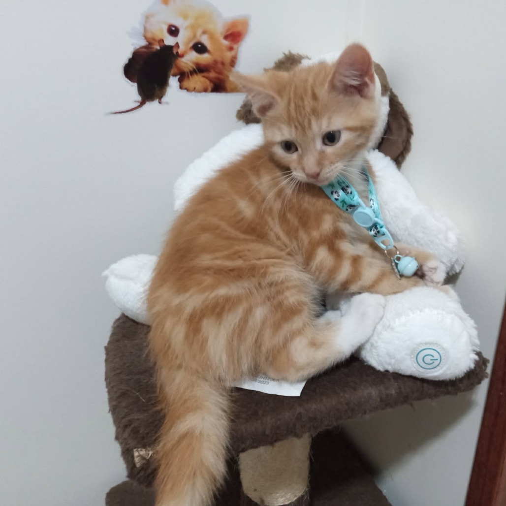 Hubert