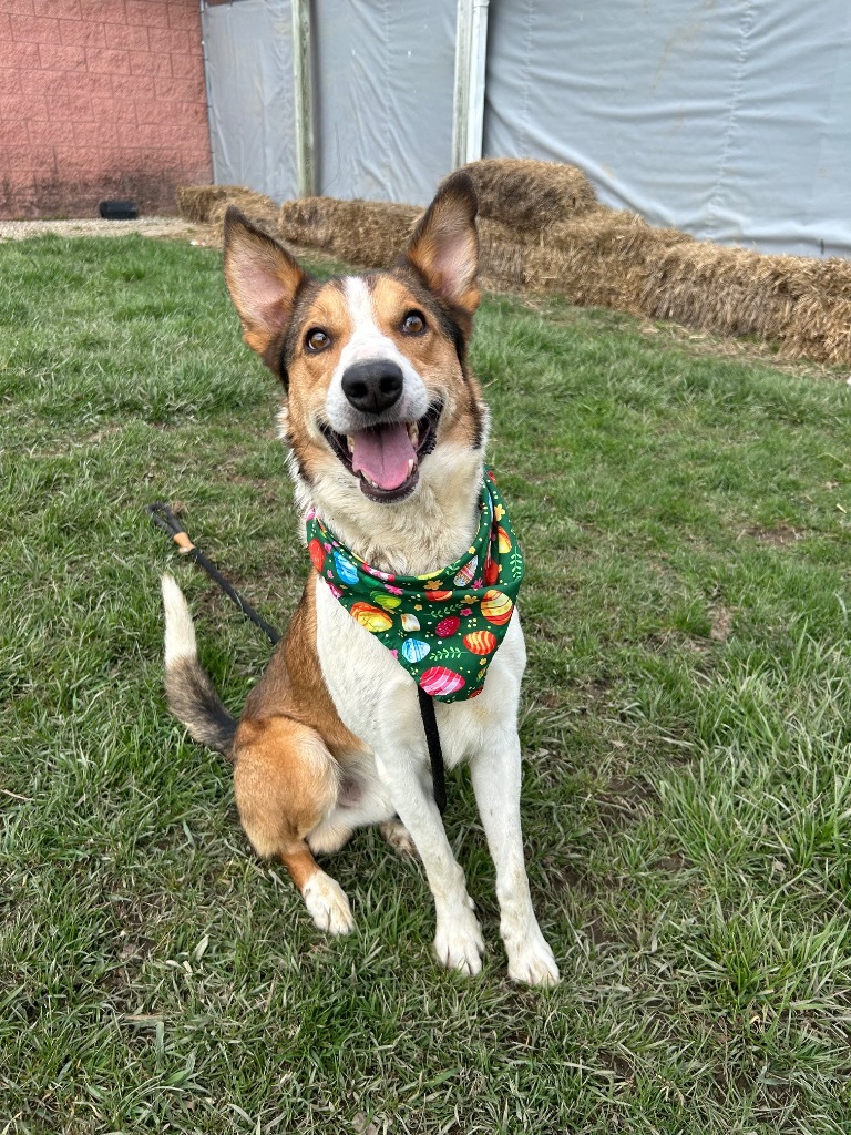 Milo