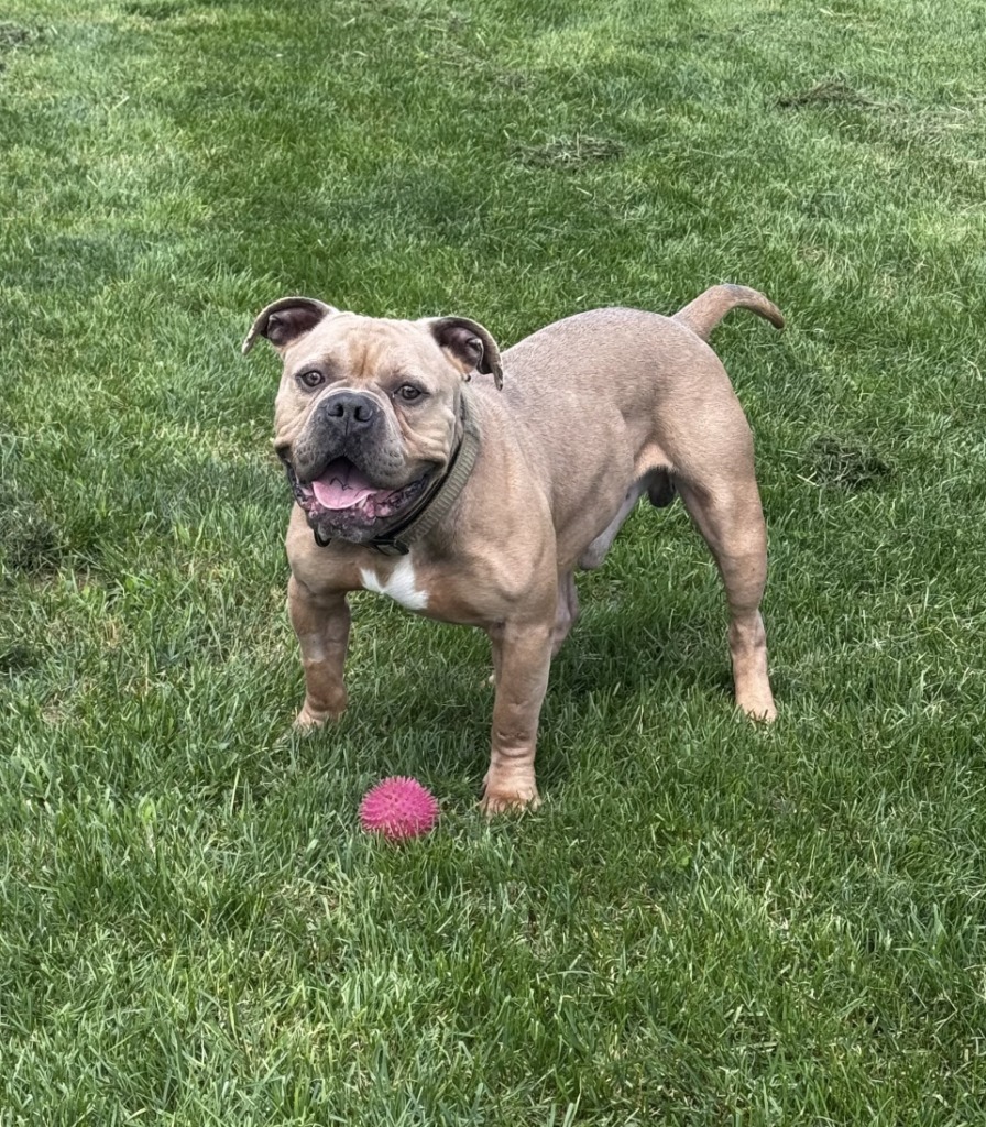 Chunker