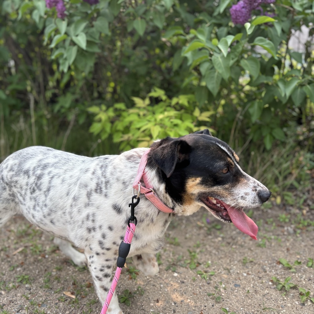 Rosie