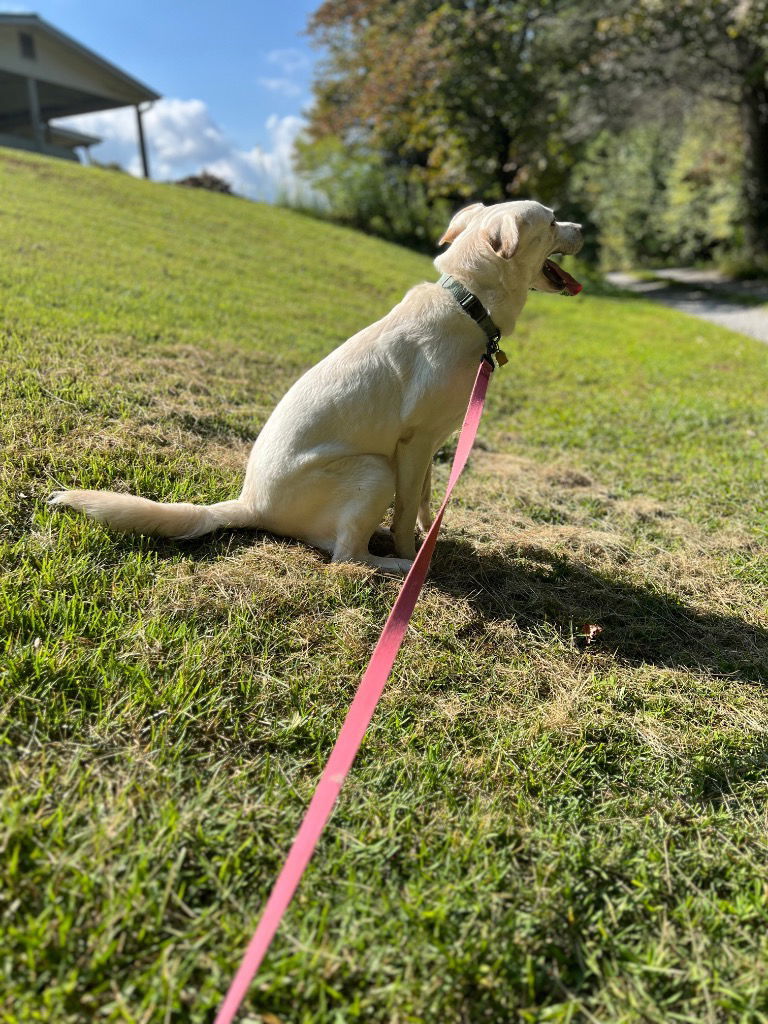 Molly