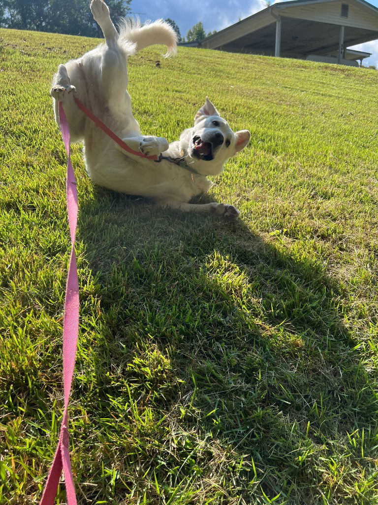 Molly