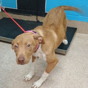 Maddy, Young Female unknown