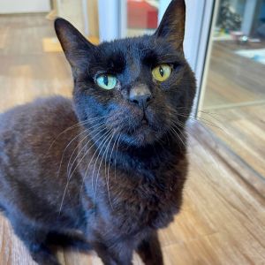 Mikey, Senior Male unknown