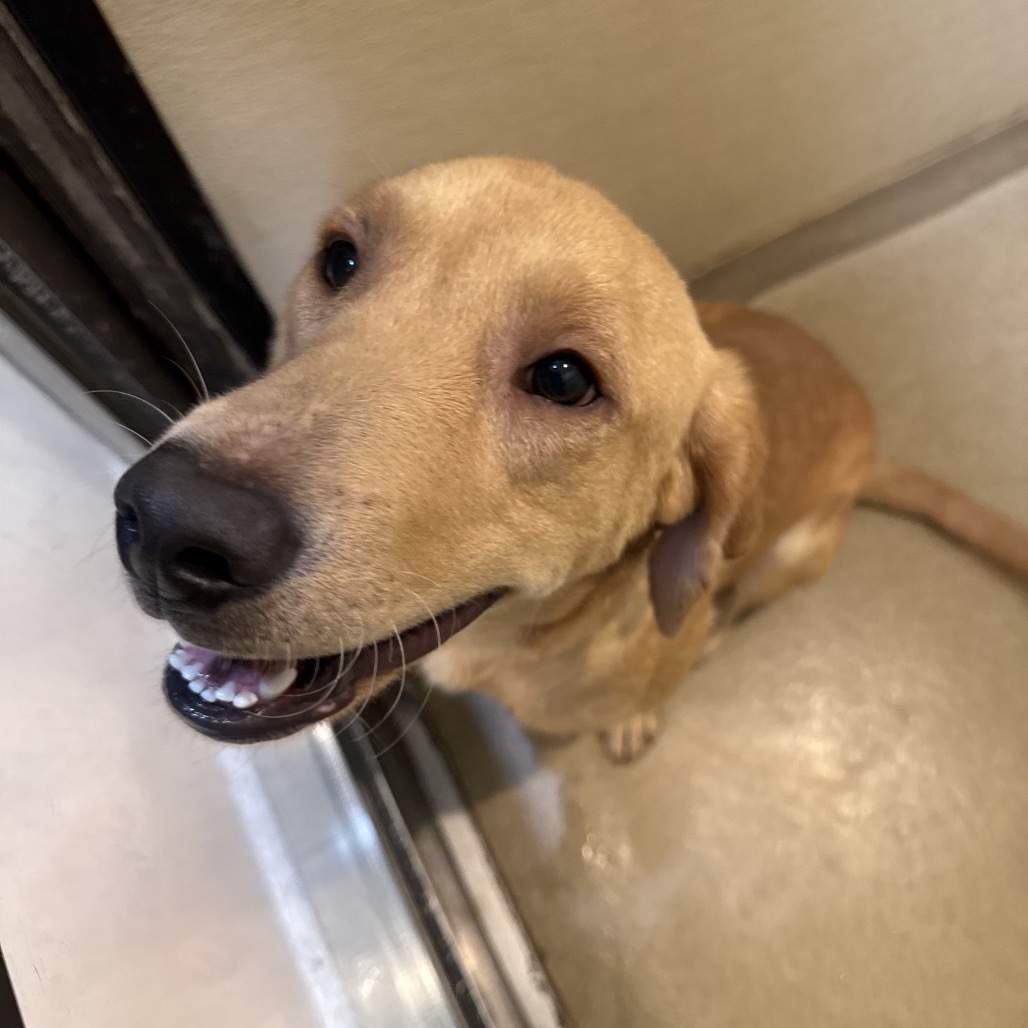 Rogan(21) - Claremont Location