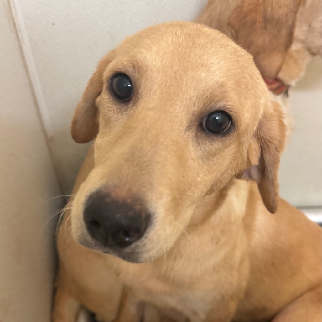 Cher(15)- Chino Hills Location