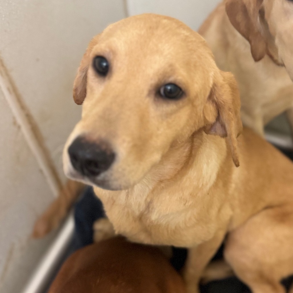 Cher(15)- Chino Hills Location
