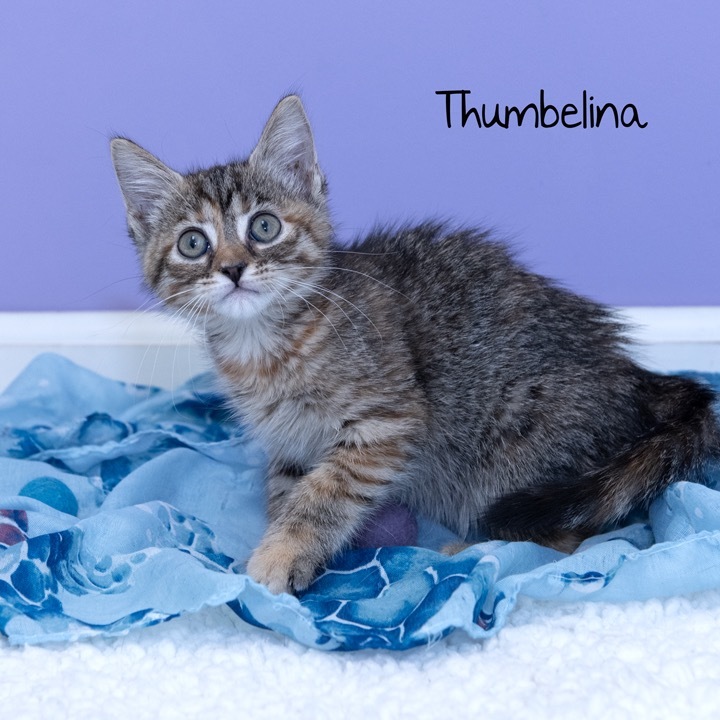 Thumbelina