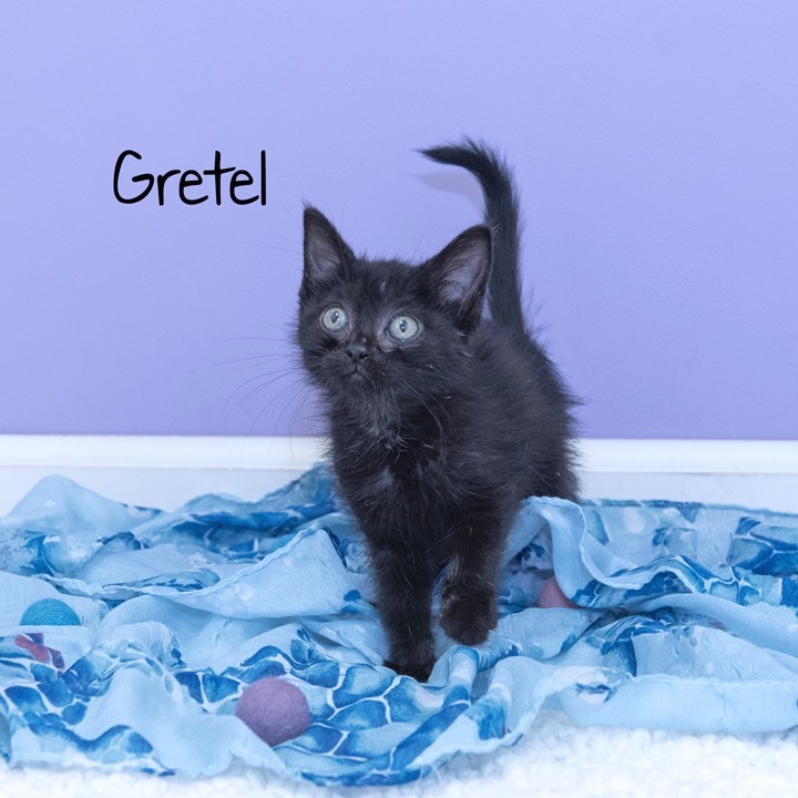 Gretel