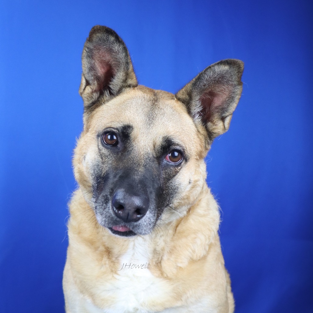 Honey- 053001T 2