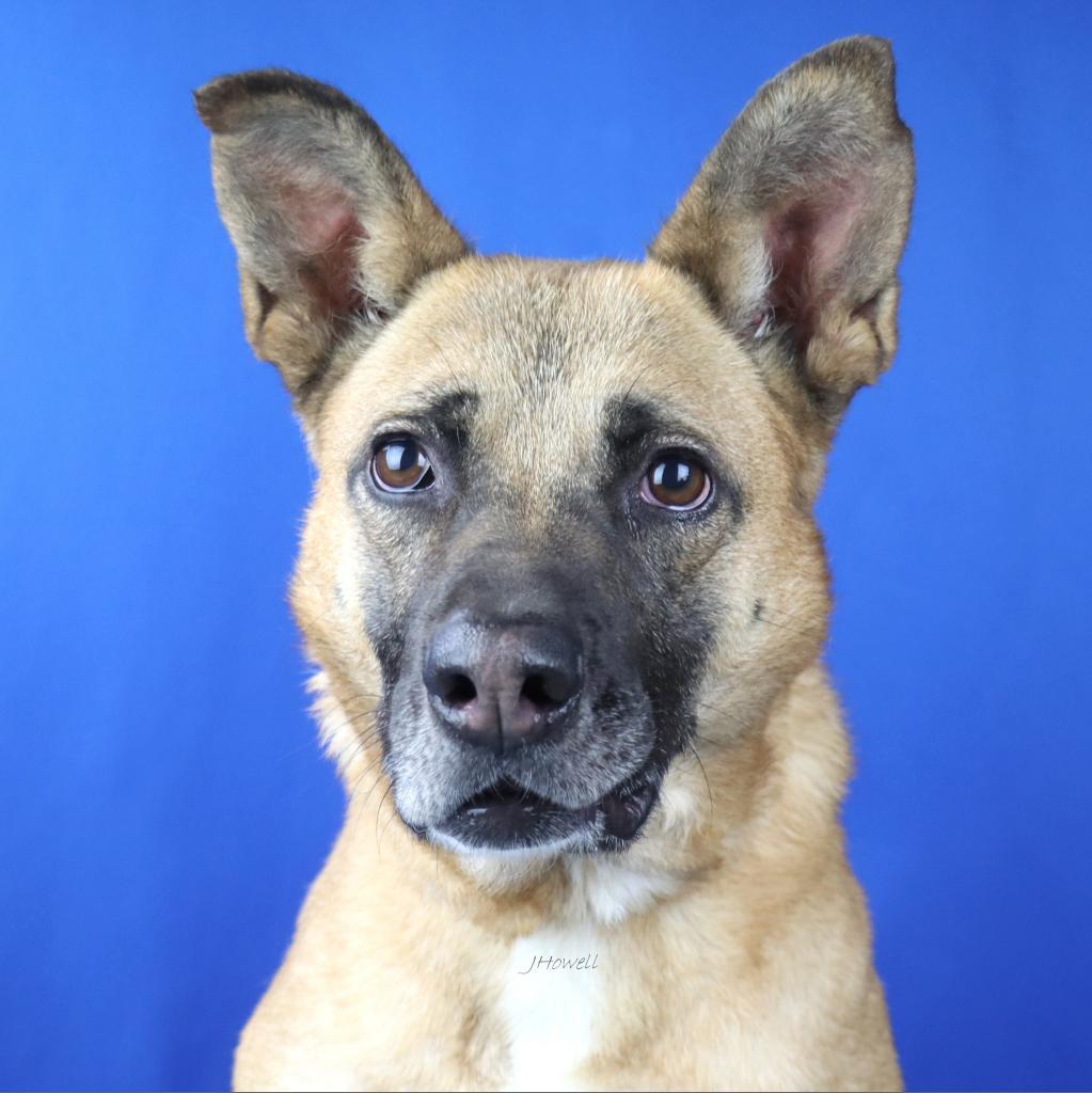 Honey- 053001T 2