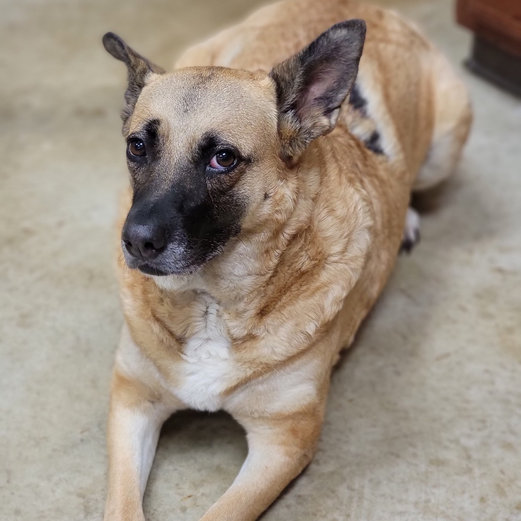 Honey- 053001T 2
